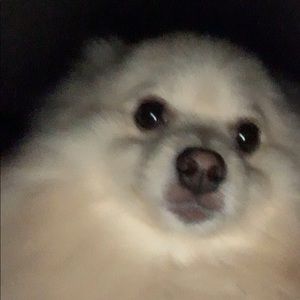 Meet your Posher, Jordan